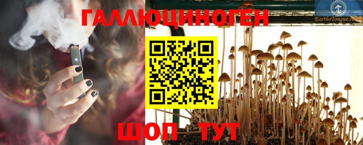 Галлюциногенные грибы Magic Shrooms Магадан