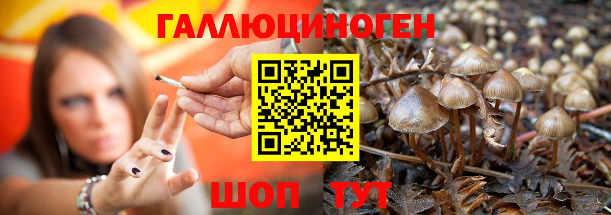 где можно купить наркотик  Вход с VPN  Магадан  Псилоцибиновые грибы мухоморы  Галлюциногенные грибы прущие грибы 